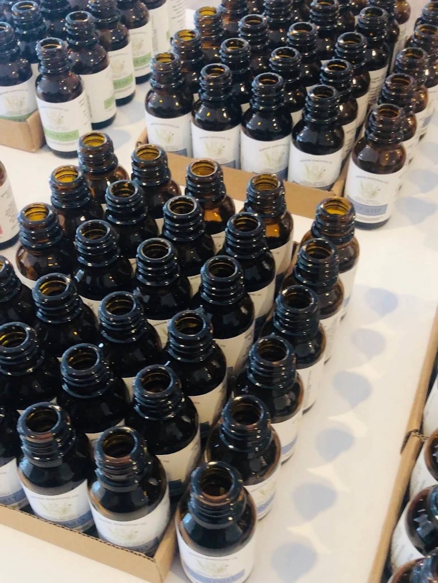 Peppermint Essential Oil 10ml - 100% Pure